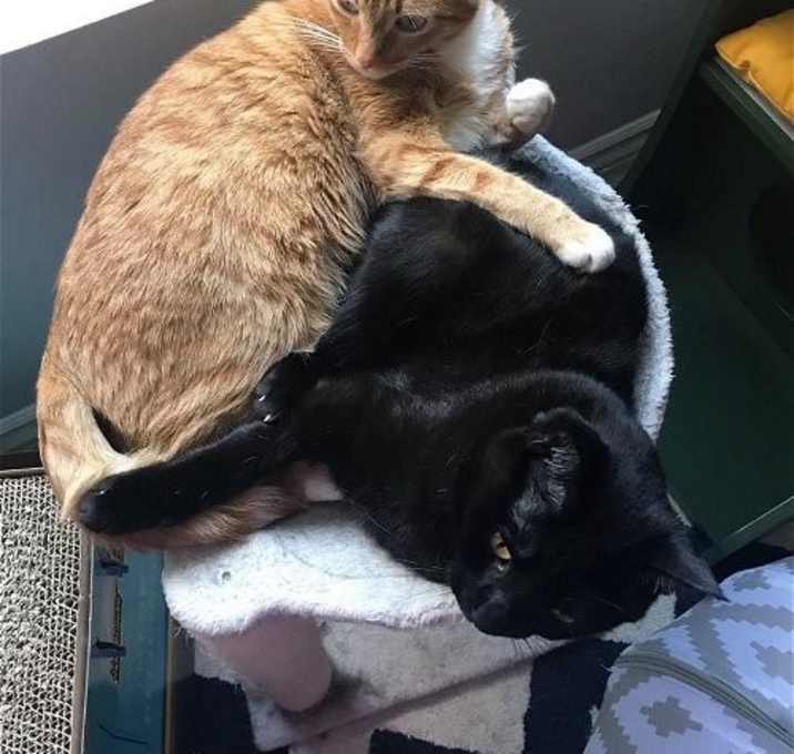 Photo of Jasper