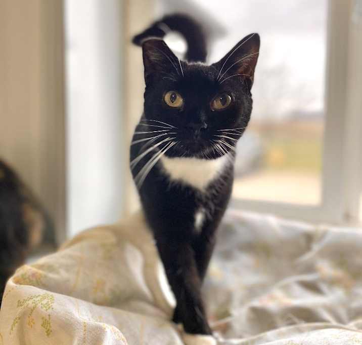 Photo of Trix