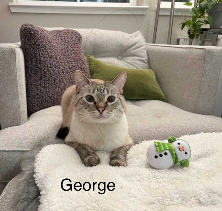 Photo of George