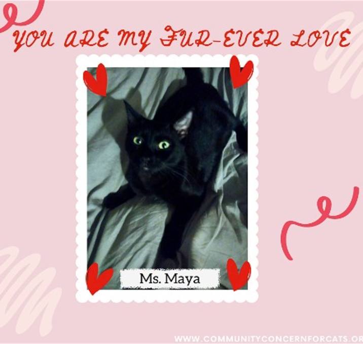 Photo of Maya