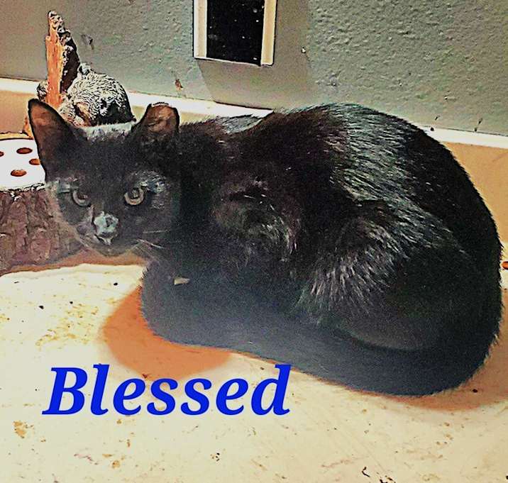 Photo of Blessed
