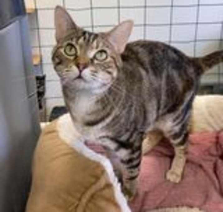 Photo of Skittles