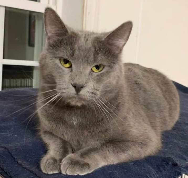 Photo of Lovey