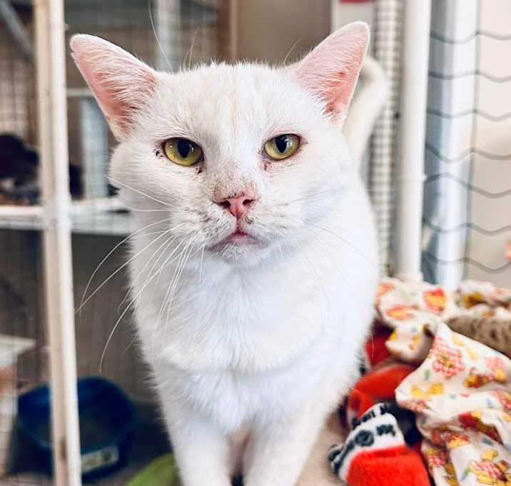 Photo of Penelope