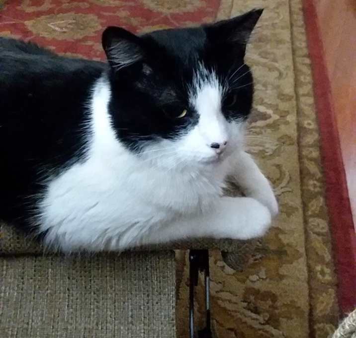 Photo of LITTLE BIT