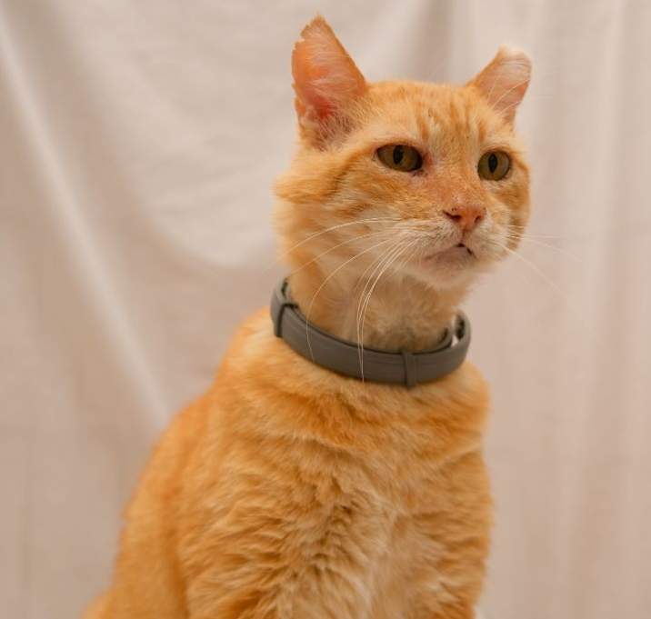Photo of Tomás