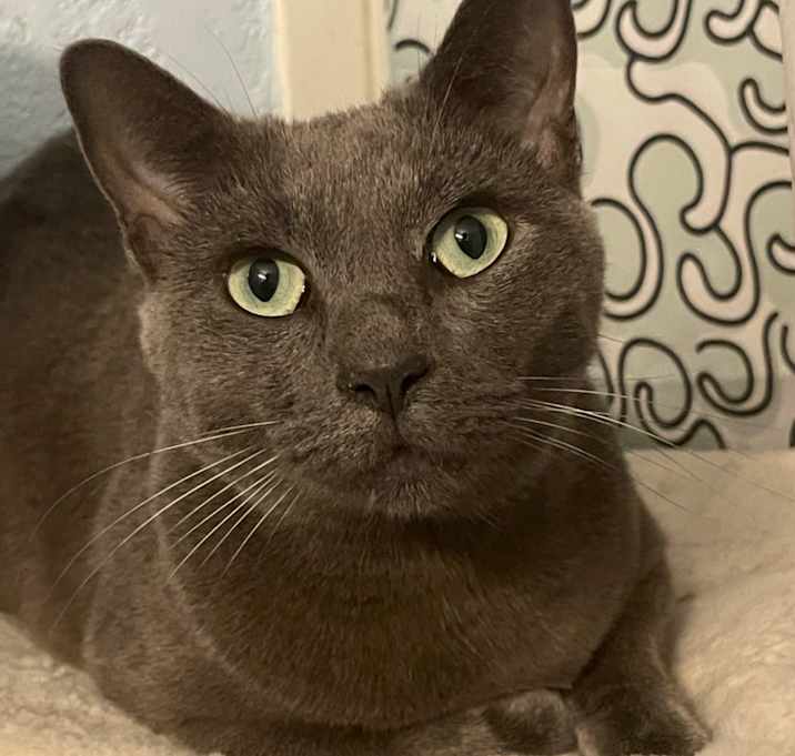 Photo of Ash