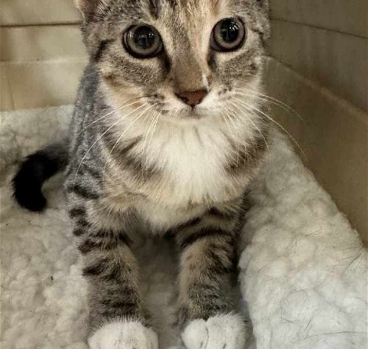 Photo of Jill