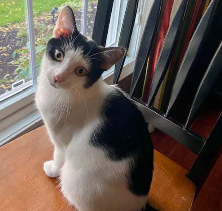 Photo of Simon