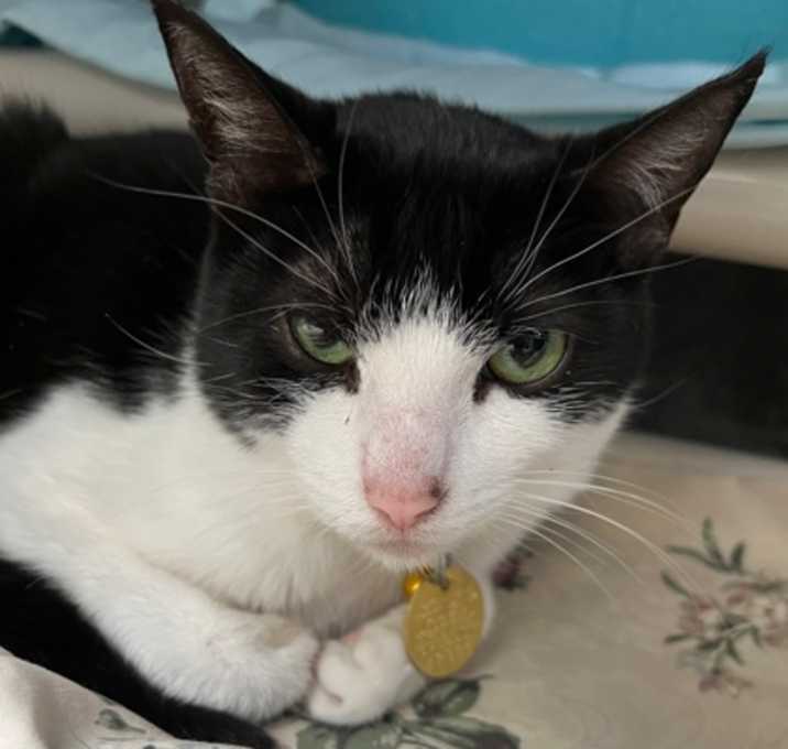 Photo of Indy