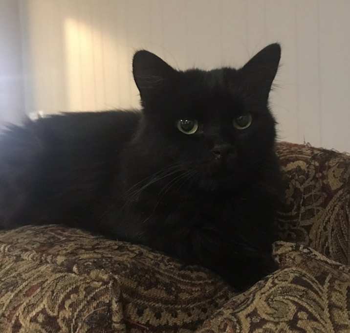 Photo of Nikki