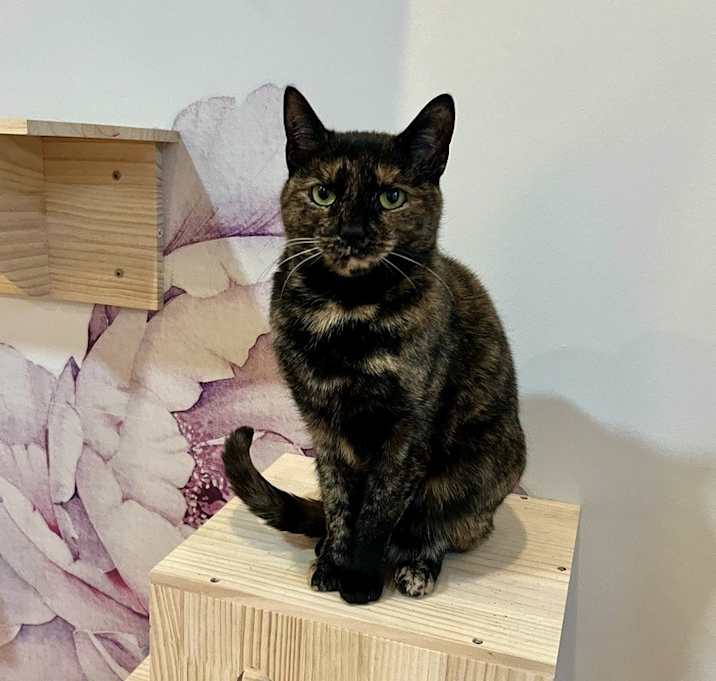 Photo of Tina