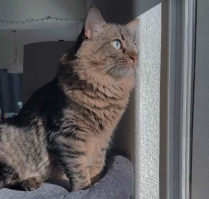 Photo of Charlie