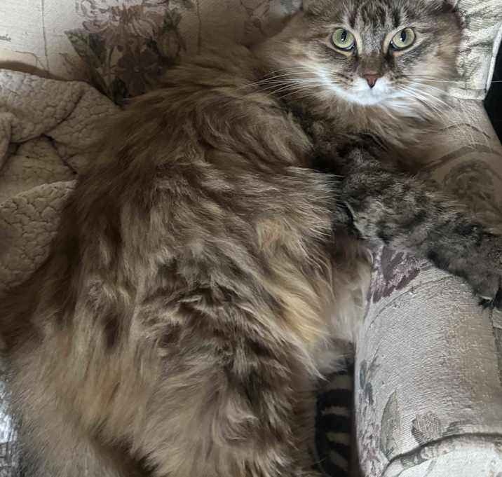 Photo of Mama