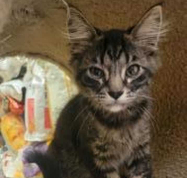 Photo of Doc