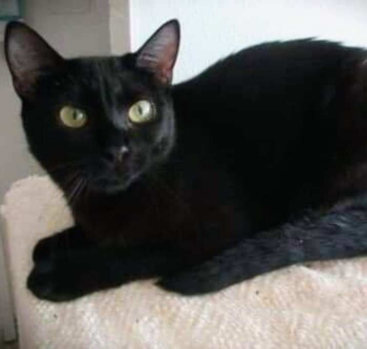 Photo of 6260 Seren