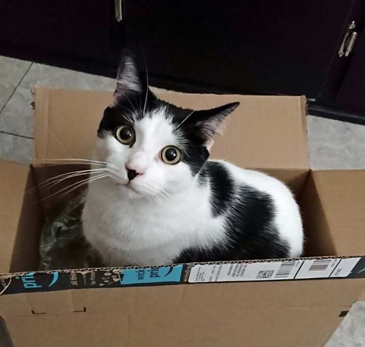Photo of Ares