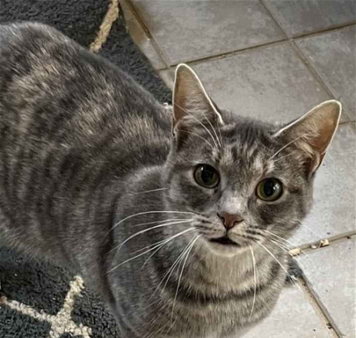 Photo of Kit kat