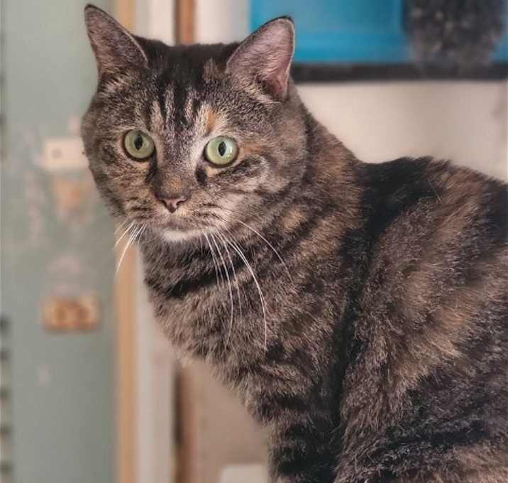 Photo of Missy