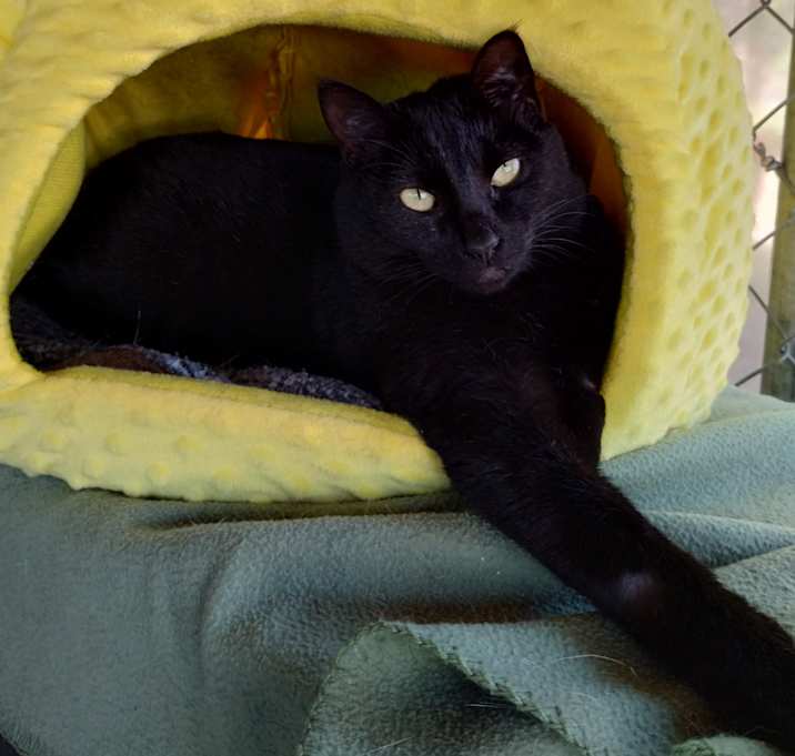 Photo of Phantom