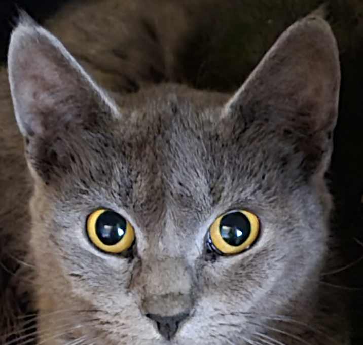 Photo of Holly