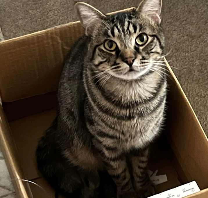 Photo of Baxter