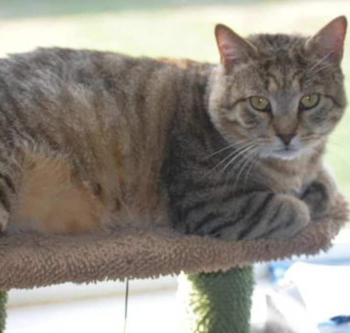 Photo of Rupert