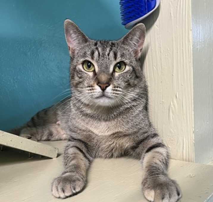 Photo of Stormy