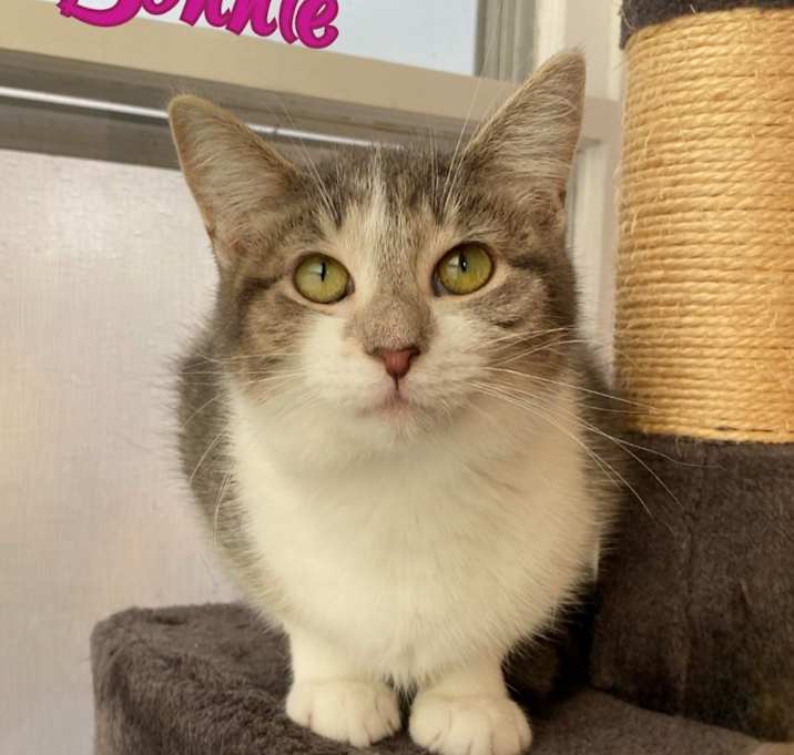Photo of Bonnie