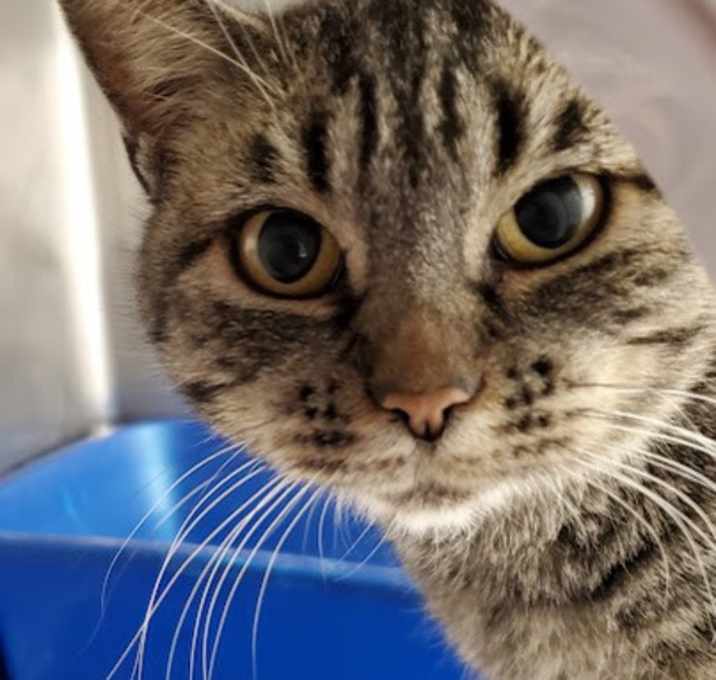Photo of Selene