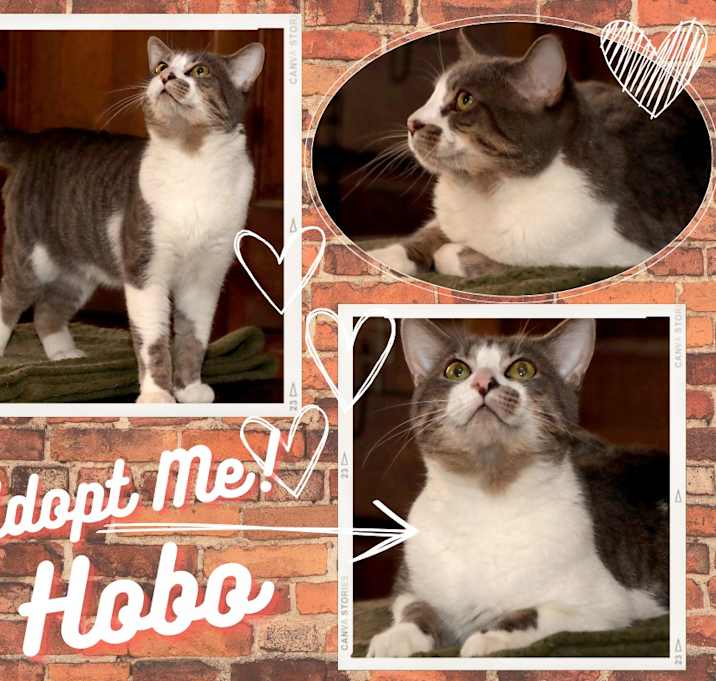 Photo of HOBO