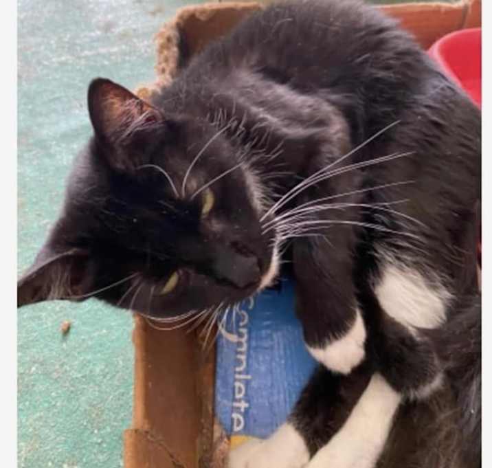 Photo of Little Baby - healthy  senior