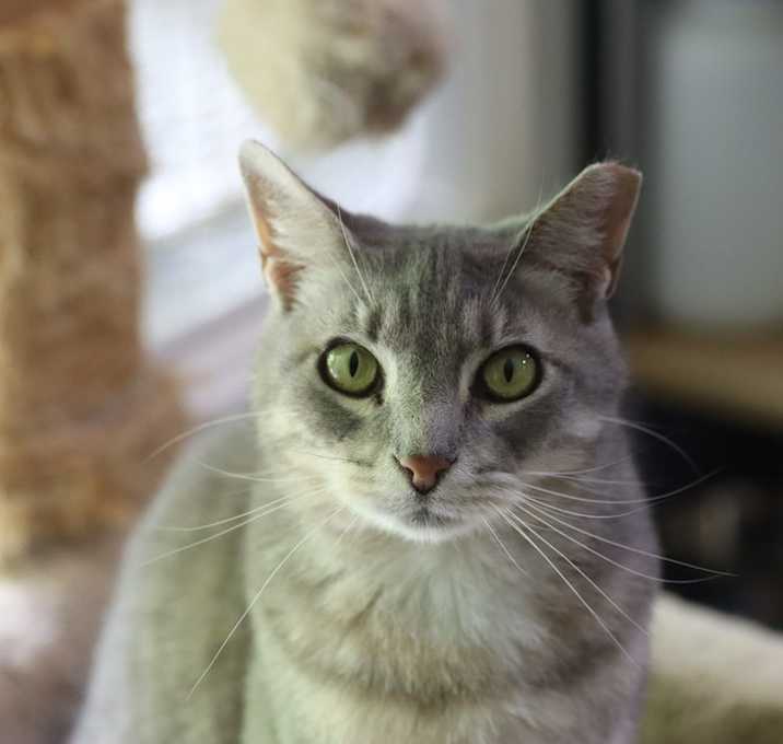 Photo of Allie