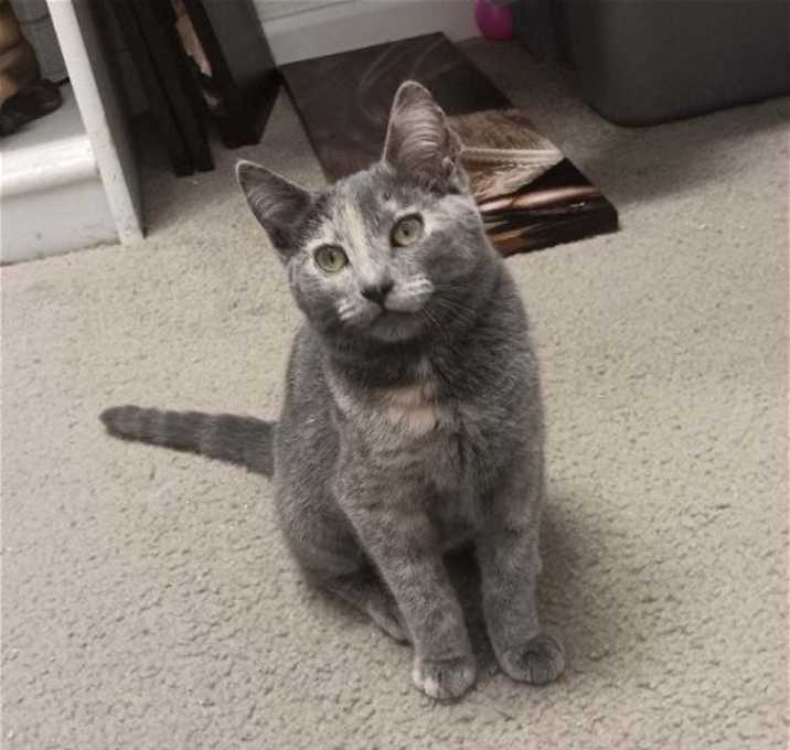 Photo of Pixie [CP]