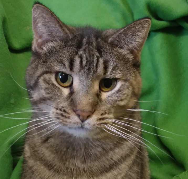 Photo of Muriel
