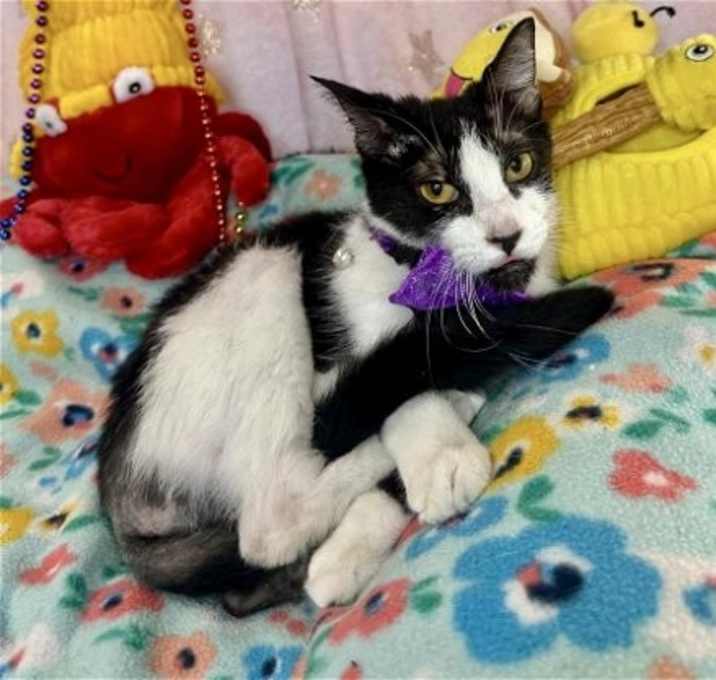 Photo of Risenia