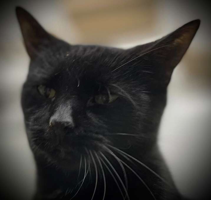 Photo of Crissie