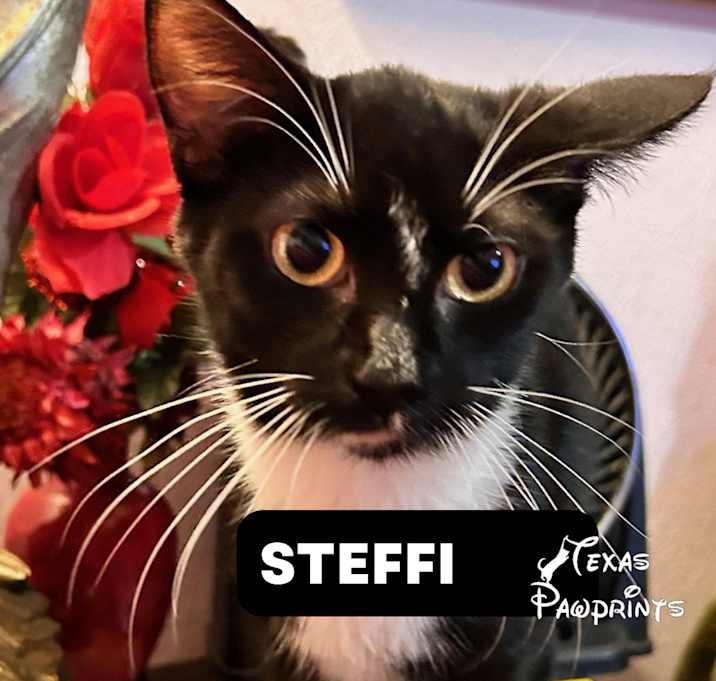 Photo of Steffi