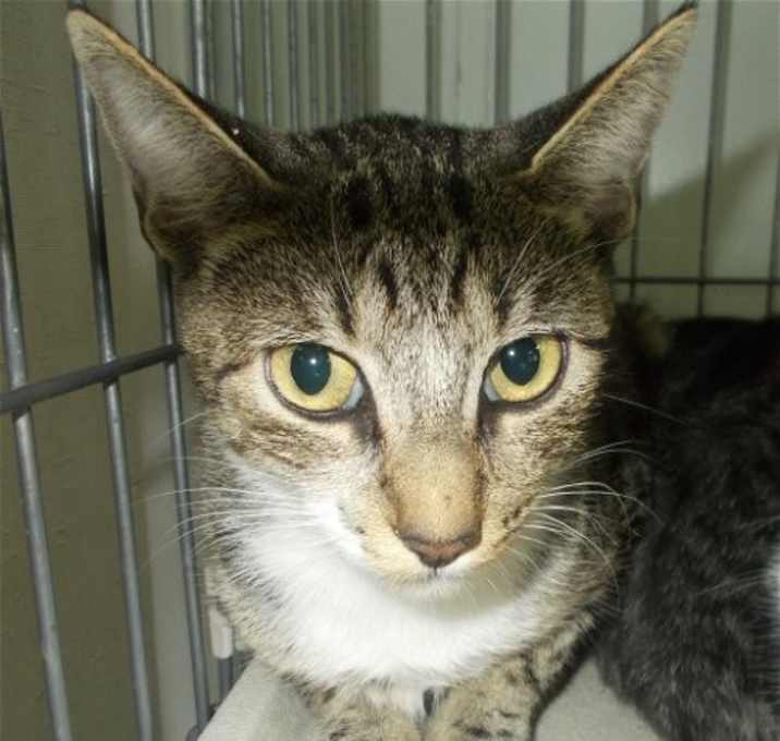 Photo of Libby