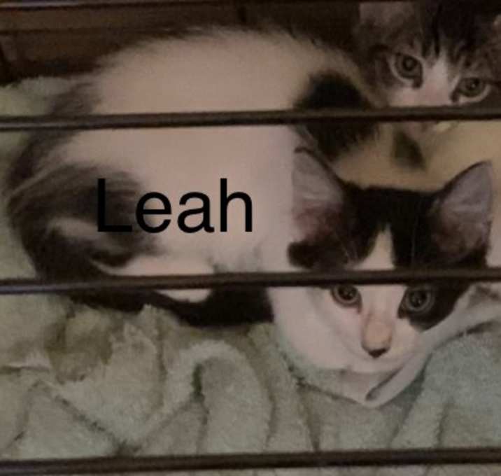 Photo of Leah