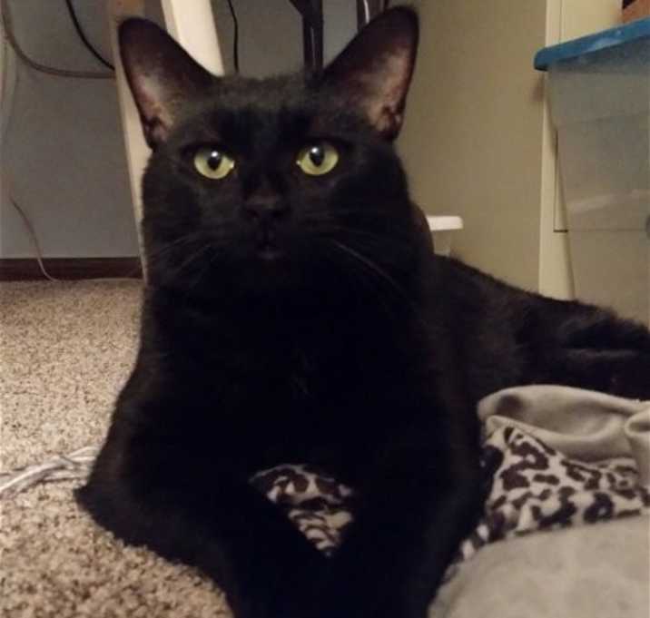 Photo of Gracie Lynn