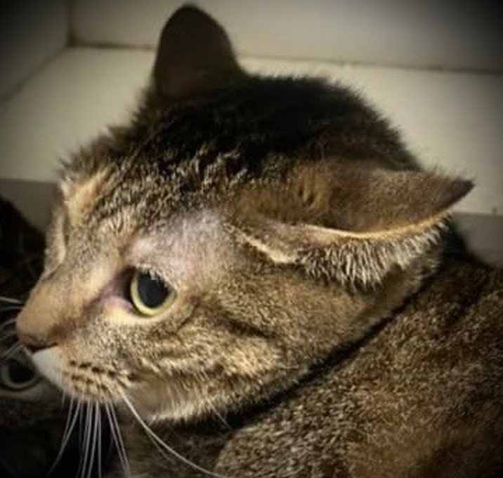 Photo of Jim