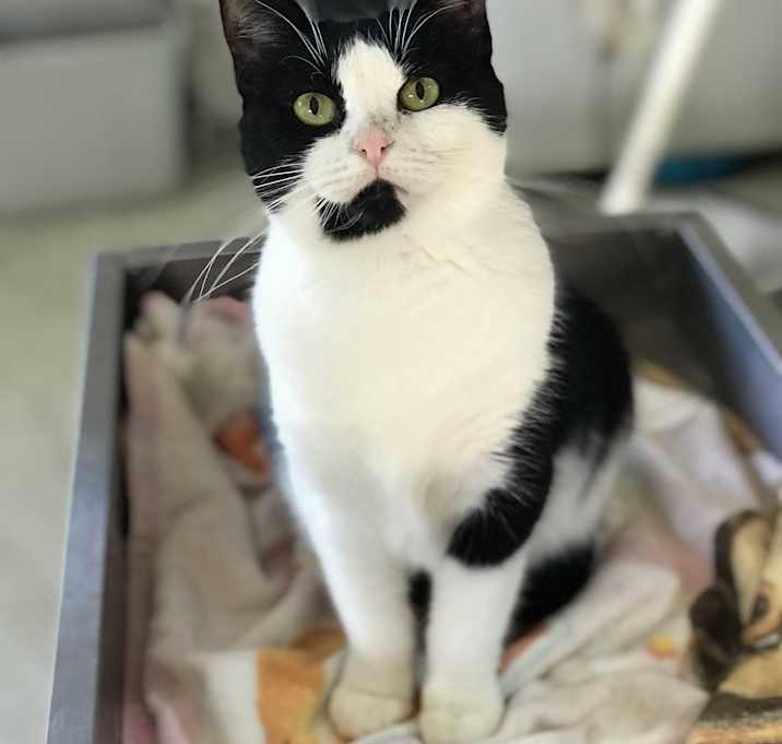 Photo of Molly