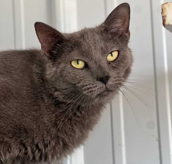 Photo of Wednesday