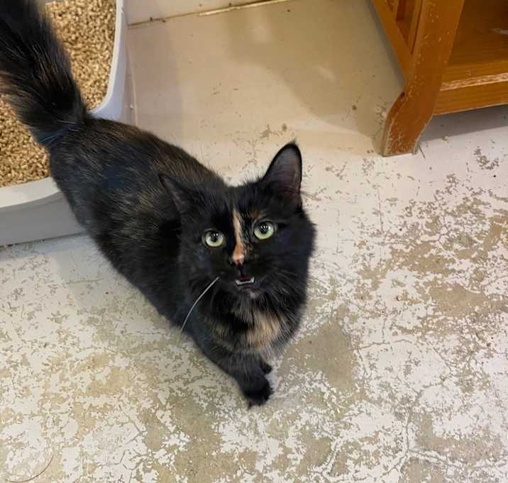 Photo of Cleo