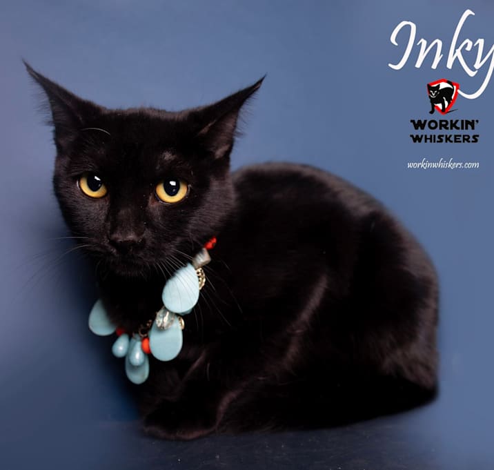 Photo of INKY