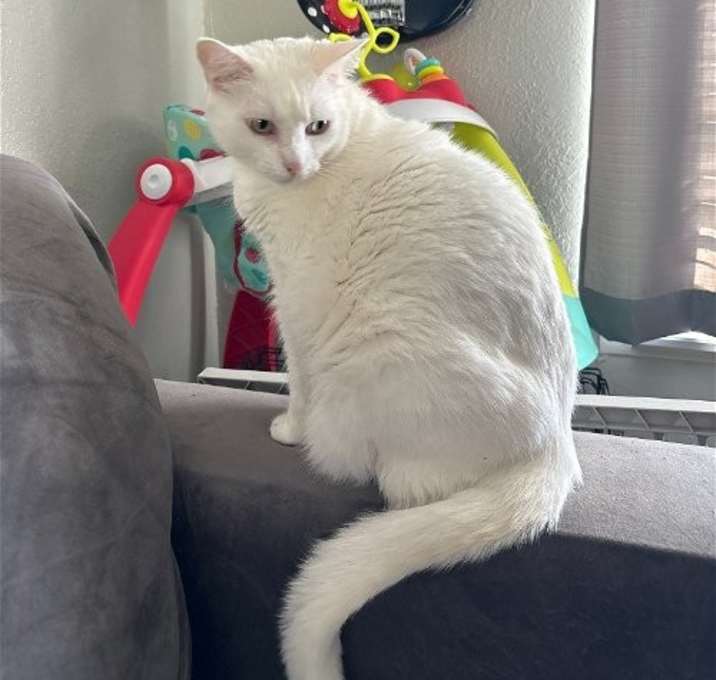 Photo of Leo