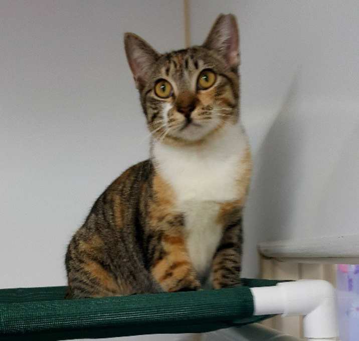 Photo of Simone
