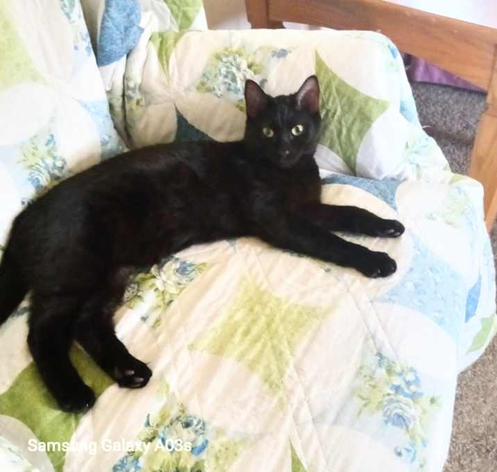 Photo of Smokey