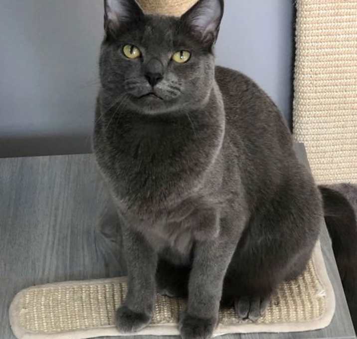 Photo of Pixie